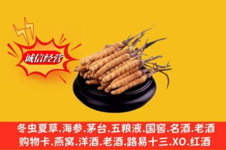 百色市那坡求购回收虫草多少钱每克